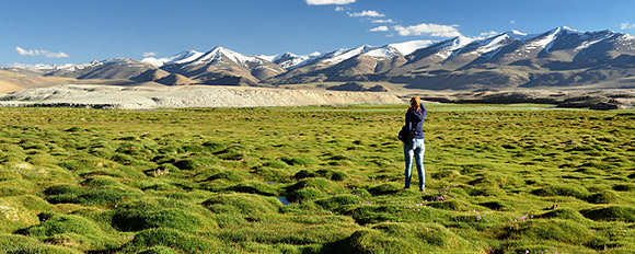 Wanderungen und Trekking Reisen durch die Wildnis der Mongolei

